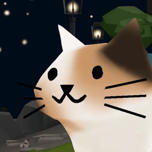 猫猫与鲨鱼