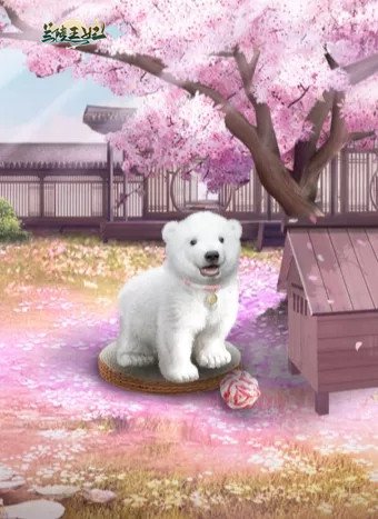 图片1.jpg