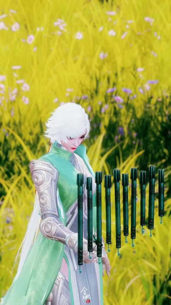 pic_029.png