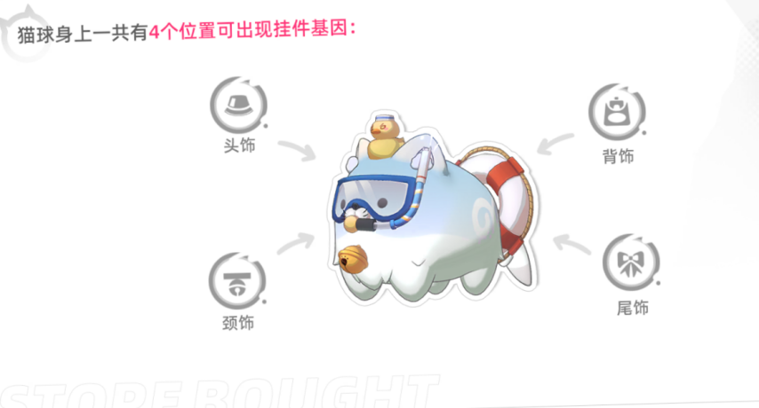 图片81.png