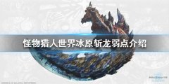 斩龙弱点介绍