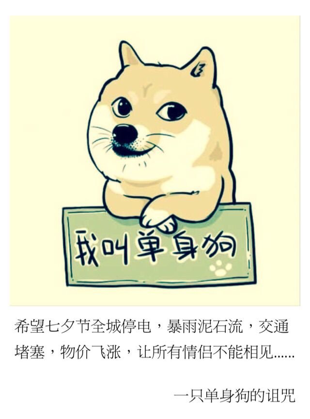 最新图片
