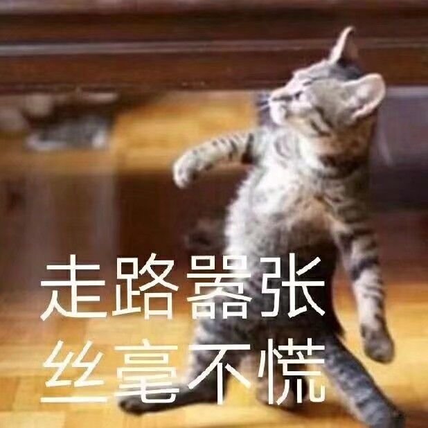最新图片