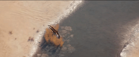 7.gif