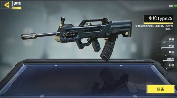 Type25.jpg