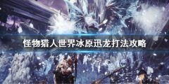 迅龙打法攻略