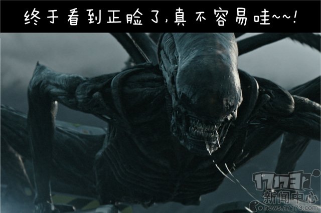最新图片