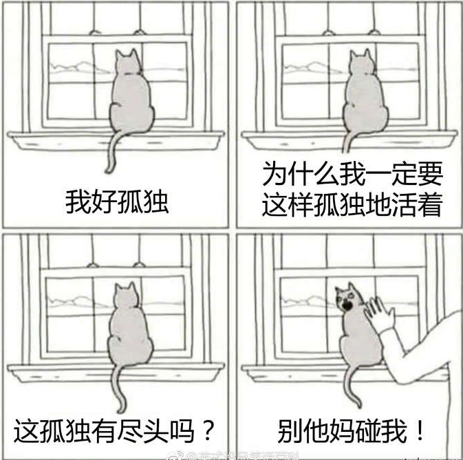 最新图片