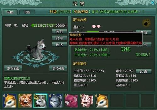 盛世三国最新图片